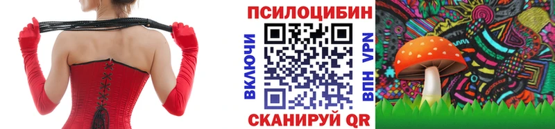 Псилоцибиновые грибы Magic Shrooms  Кондрово 